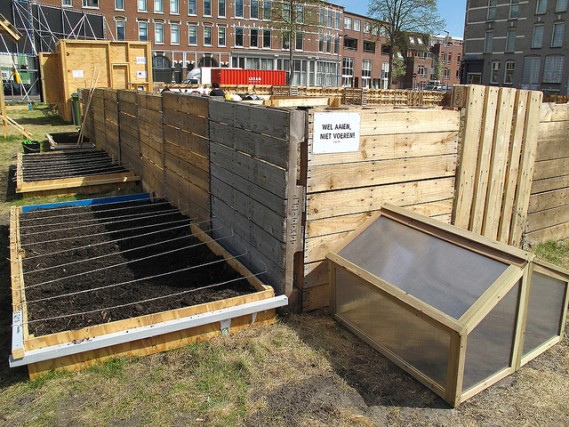 Er is een nieuw stukje grond gevonden op Katendrecht voor de Chinese Moestuin!