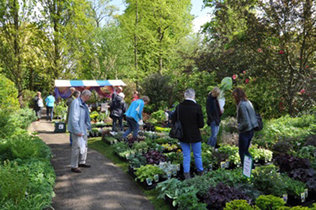 Voorafgaande aan de opening hebben Gert Fortgens, de directeur/hortulanus van Trompenburg en Manuel Kneepkens natuurlijk de route ‘proef’ gelopen.