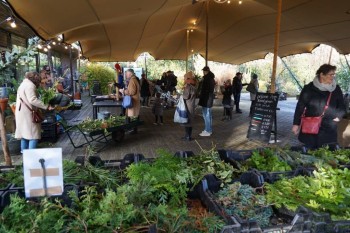 Magische kerstmarkt bij Trompenburg