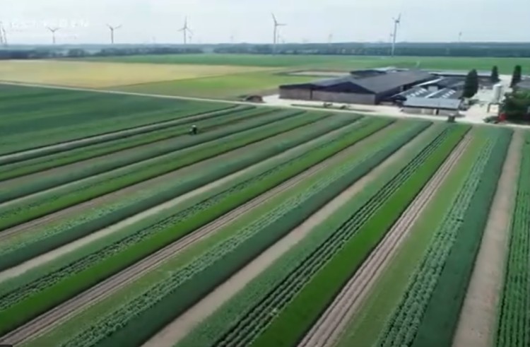 15 miljoen voor innovaties op het boerenerf