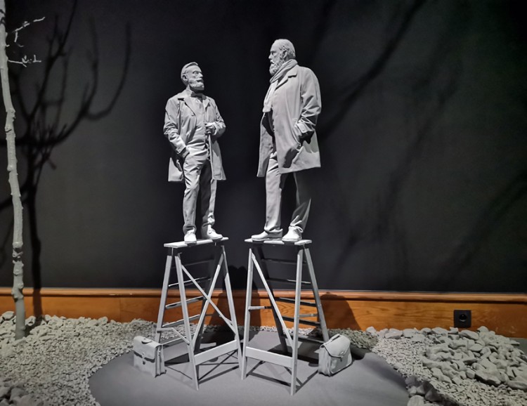 'Nachtreis' door de droomwereld van Hans Op de Beeck