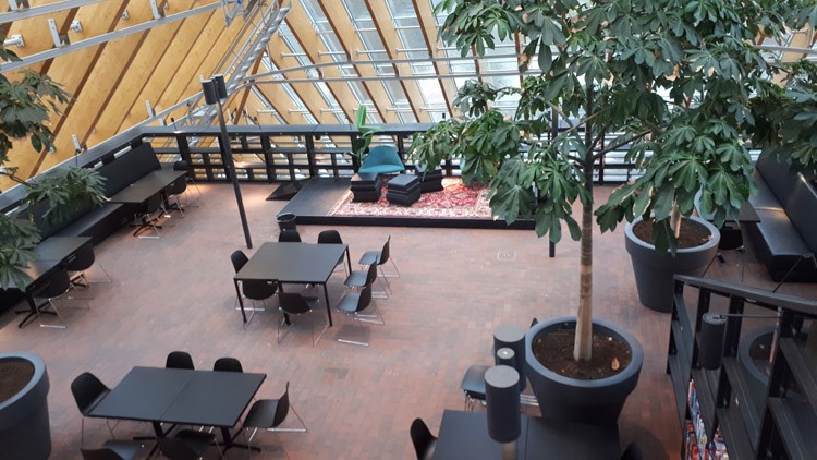 Toksjoo Spikers in een nieuw jasje. ​In de nok van de bibliotheektheater Boekenberg