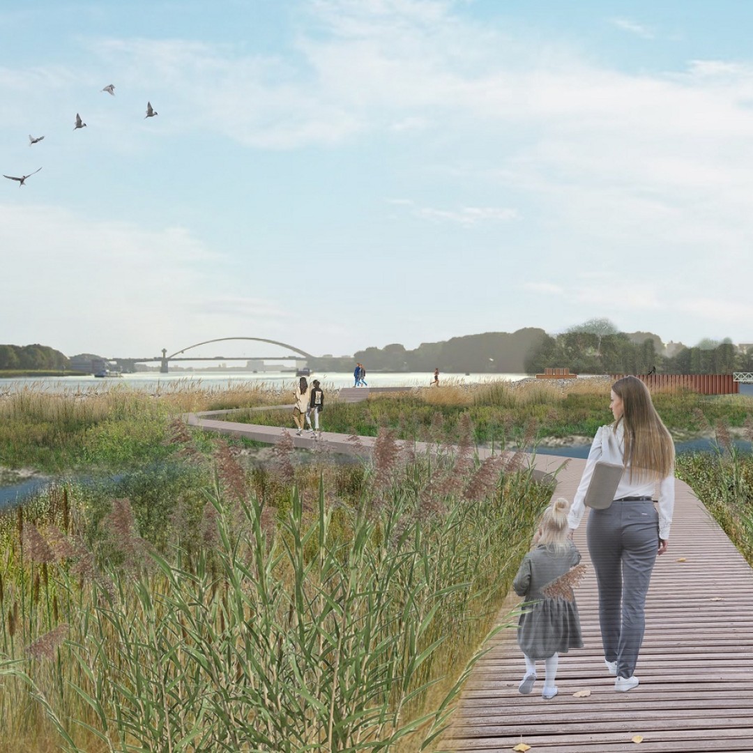 Getijdenpark Feijenoord: voor mensen, vissen, vogels en insecten