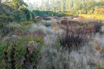 Screening - Five Seasons: The Gardens of Piet Oudolf (directed by Thomas Piper)