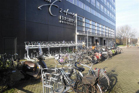 Topstudies in Rotterdam zijn economie, management, rechten, sociale wetenschappen, geneeskunde en gezondheid. De Erasmus Universiteit Rotterdam is een onderwijsindustrie op zich.
